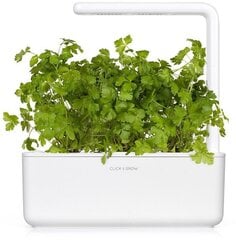 Click & Grow Smart Garden refill Harilik petersell 3tk hind ja info | Ürtide ja maitsetaimede seemned | hansapost.ee