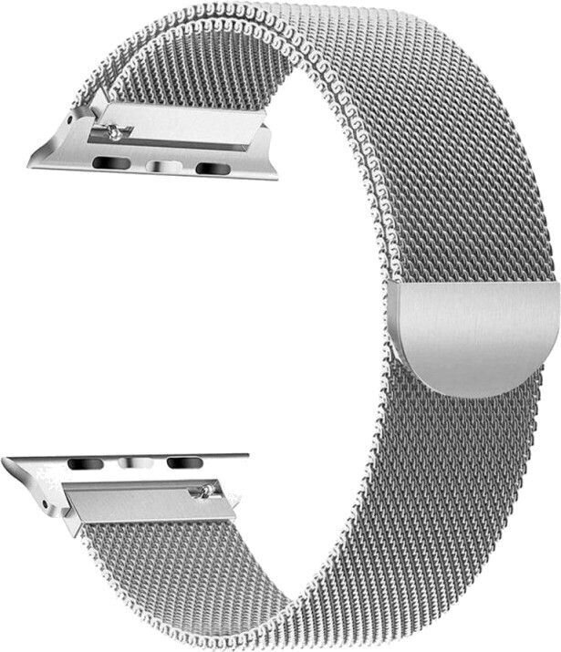 Tech-Protect Watch Band Silver цена и информация | Nutikellade aksessuaarid ja tarvikud | hansapost.ee