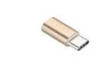 Mocco MC-AD-TYPECM-GO цена и информация | USB adapterid ja jagajad | hansapost.ee