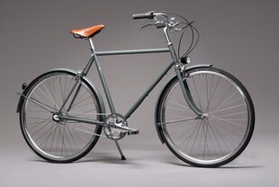 Велосипед Pelago Bristol 3-v M, серый цвет цена и информация | Велосипеды | hansapost.ee