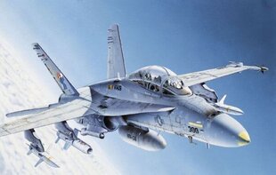Lennukimudel F/A-18 C/D Wild Weaseli hind ja info | Klotsid ja konstruktorid | hansapost.ee