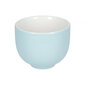 Kruus Loveramics Pro Tea - Oriental Tea Cup Cup 145 ml, River Blue цена и информация | Klaasid, kruusid ja kannud | hansapost.ee