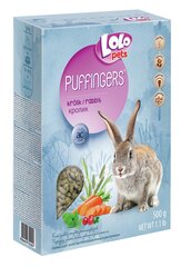 LoLo Pets Puffingers täissööt jänestele 500g цена и информация | Корм для грызунов | hansapost.ee