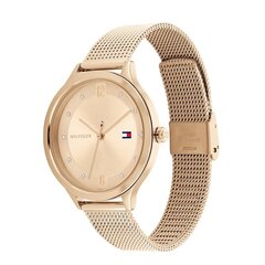 Женские часы Tommy Hilfiger 1782431 цена и информация | Женские часы | hansapost.ee