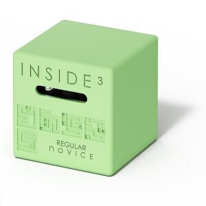 Mänguasi Inside cube- Regular Novice hind ja info | Arendavad laste mänguasjad | hansapost.ee