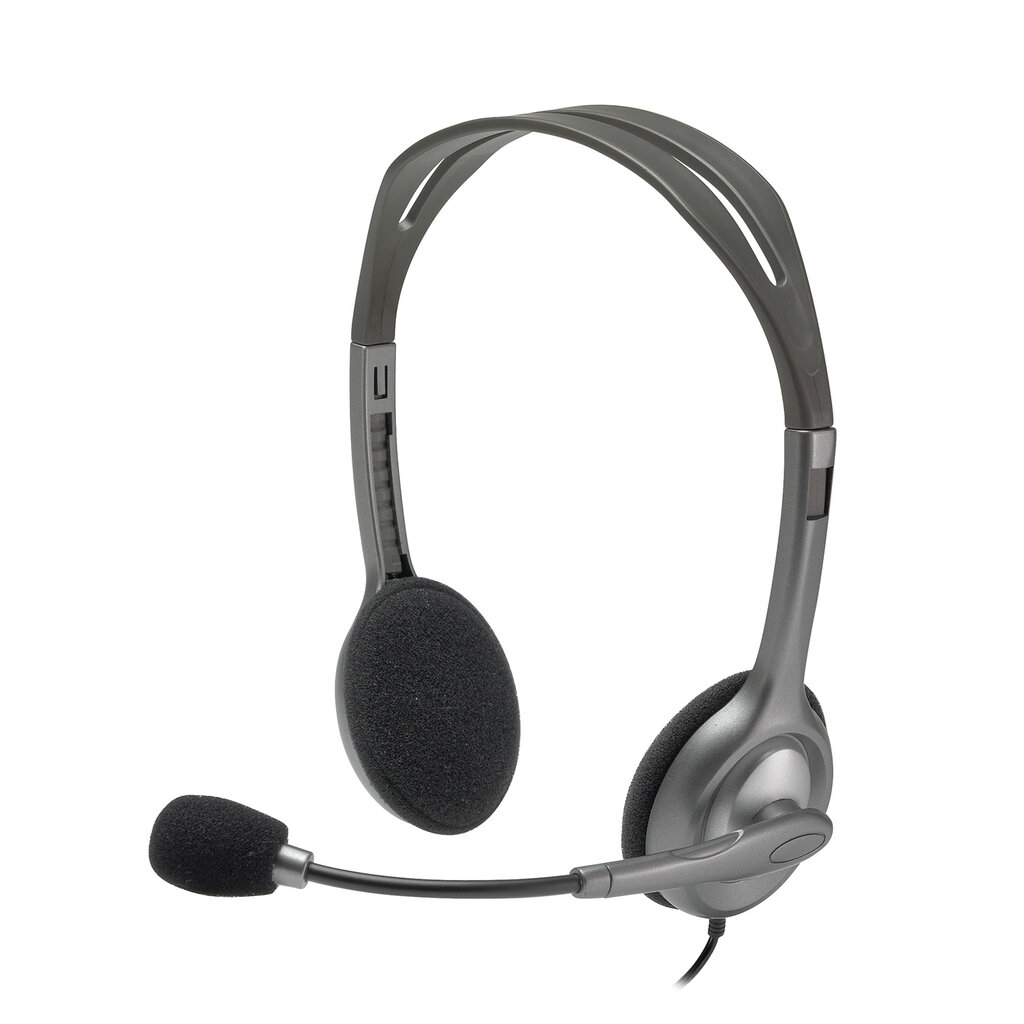 Logitech Stereo H110 Grey цена и информация | Kõrvaklapid | hansapost.ee
