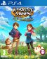 Harvest Moon the Winds Of Anthos цена и информация | Konsooli- ja arvutimängud | hansapost.ee