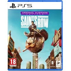 Saints Row Criminal Customs Edition Xbox One игра цена и информация | Компьютерные игры | hansapost.ee