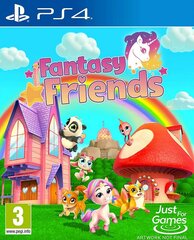 PS4 Fantasy Friends цена и информация | Компьютерные игры | hansapost.ee