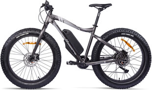 Электровелосипед GZR Rough-e Fatbike 17", серый цвет цена и информация | Электровелосипеды | hansapost.ee