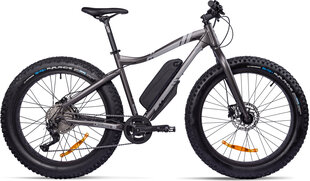 Elektriline jalgratas GZR Rough-e Fatbike 17", hall hind ja info | GZR Jalgrattad, tõukerattad, rulluisud, rulad | hansapost.ee