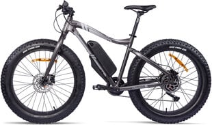Электровелосипед GZR Rough-e Fatbike 19", серый цвет цена и информация | GZR Аутлет | hansapost.ee