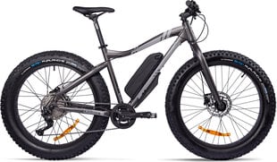 Электровелосипед GZR Rough-e Fatbike 19", серый цвет цена и информация | GZR Аутлет | hansapost.ee