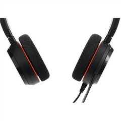 Jabra Evolve 20 Stereo UC SME APAC/EMEA SME 100-55900000-99 hind ja info | Kõrvaklapid | hansapost.ee