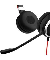 Jabra Evolve 40 Stereo UC цена и информация | Наушники | hansapost.ee