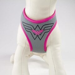 Koera rakmed Wonder Woman, roosa hind ja info | Koerte kaelarihmad ja traksid | hansapost.ee