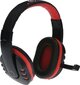Rebeltec headphones ROHAN with microphone, 2 x jack 3,5mm hind ja info | Kõrvaklapid | hansapost.ee