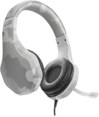 Speedlink Raidor SL-450303-WE price and information | Headphones | hansapost.ee