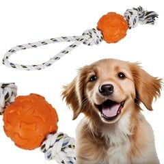 Игрушка для жевания для собак Springos PA1053 цена и информация | Игрушки для собак | hansapost.ee