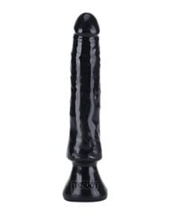 Дилдо Starter Dong, 16 см, черный цвет цена и информация | Фаллоимитаторы | hansapost.ee