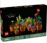 10329 LEGO® Icons Väikesed taimed цена и информация | Klotsid ja konstruktorid | hansapost.ee