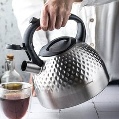 Чайник стальной со свистком Klausberg, 3 л  цена и информация | Чайники, кофейники | hansapost.ee