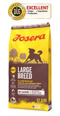 Josera keskmist ja suurt tõugu koertele Large Breed, 12,5 kg hind ja info | Koerte kuivtoit ja krõbinad | hansapost.ee