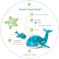 Projektor Vaala perekond 0+ kuud цена и информация | Beebide mänguasjad | hansapost.ee