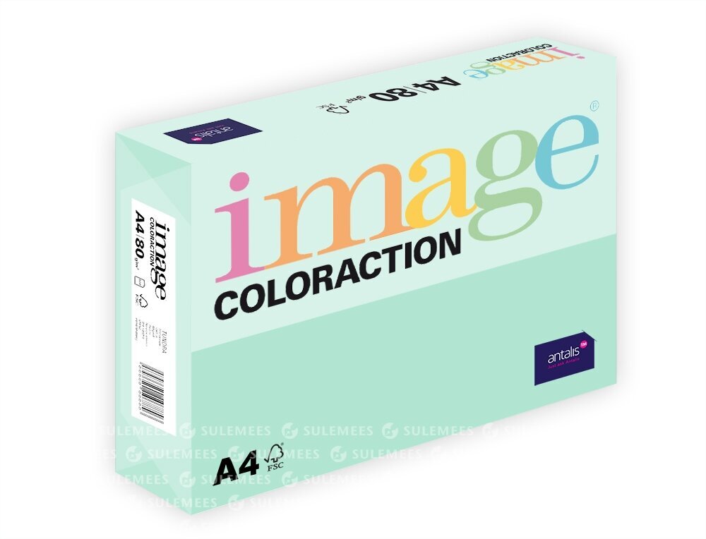 Värviline paber Image Coloraction Forest, 80g/m2, A4, 500 lehte, roheline цена и информация | Vihikud, märkmikud ja paberikaubad | hansapost.ee