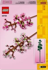 40725 LEGO® Iconic Kirsiõied price and information | Klotsid ja konstruktorid | hansapost.ee