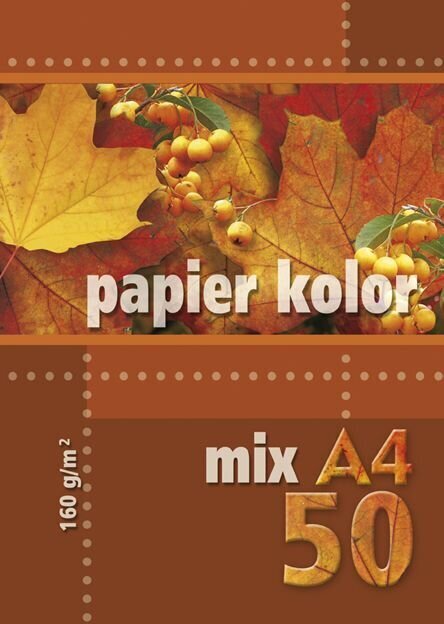 Värviline paber Kreska A4, 50 lehte hind ja info | Vihikud, märkmikud ja paberikaubad | hansapost.ee