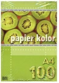 Värviline kahepoolne paber Kreska A4, 100 lehte, hall hind ja info | Vihikud, märkmikud ja paberikaubad | hansapost.ee