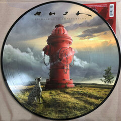 LP RUSH Signals (Picture Disc, 40th Anniversary, Limited Edition) LP Виниловая пластинка цена и информация | Виниловые пластинки, CD, DVD | hansapost.ee