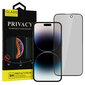 Privacy Glass - iPhone 15 цена и информация | Ekraani kaitseklaasid ja kaitsekiled | hansapost.ee