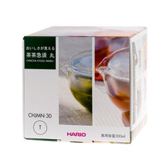 Harry teekann, 300ml hind ja info | Hario Kodukaubad | hansapost.ee