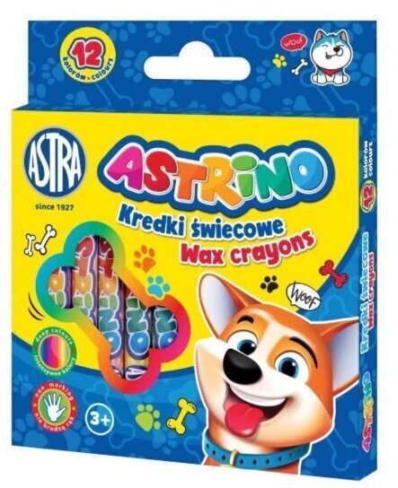 Rasvakriidid Astro Astra 12 värvi hind ja info | Kunstitarbed, voolimise tarvikud | hansapost.ee