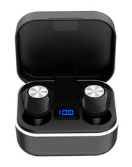 Täielikult juhtmevabad kõrvasisesed kõrvaklapid Platinet Stardust (PM1030B) hind ja info | Kõrvaklapid | hansapost.ee