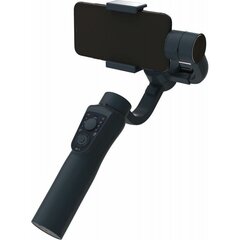 GoXtreme GX3 цена и информация | Аксессуары для видеокамер | hansapost.ee