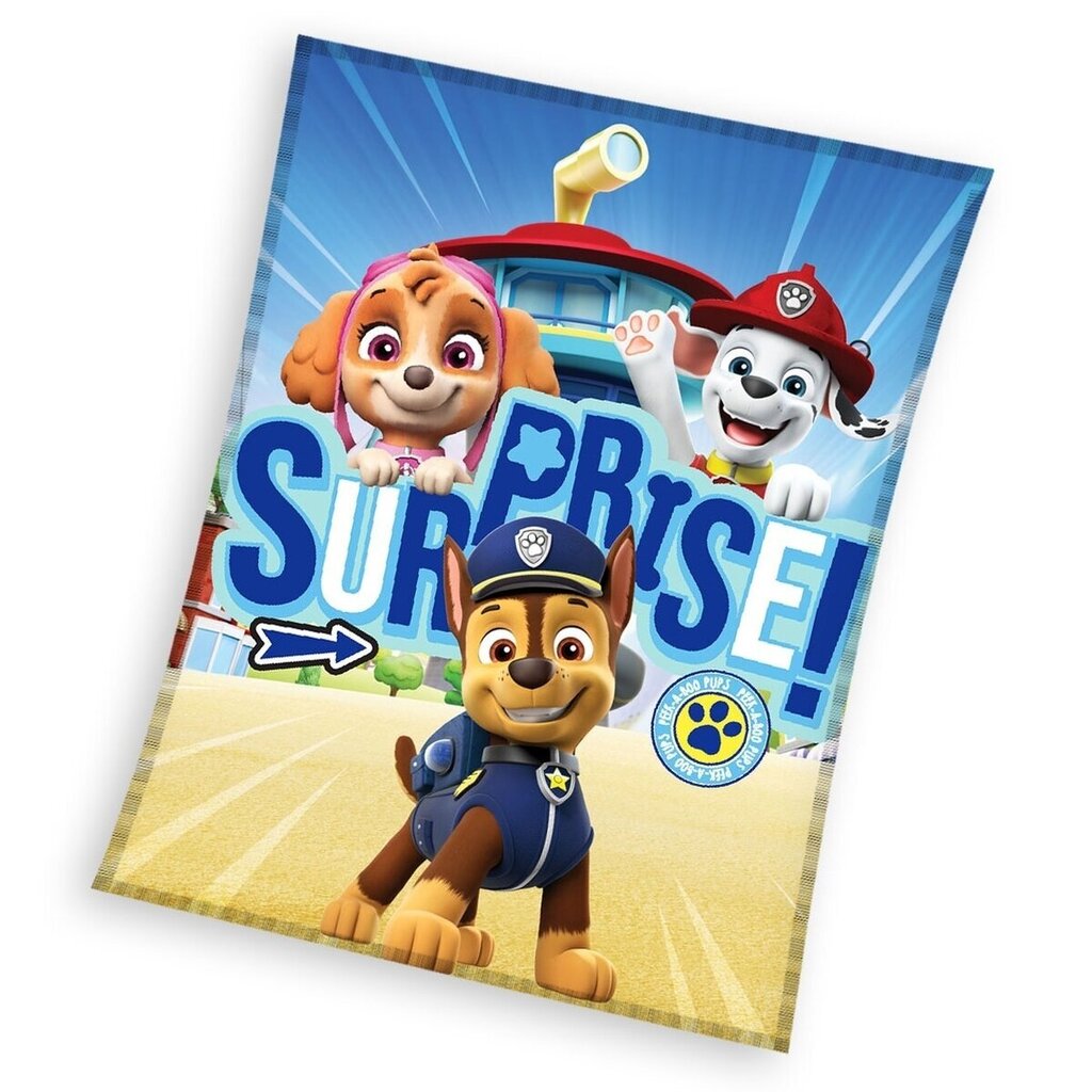 Laste pleed Paw Patrol, 130x170 cm цена и информация | Pleedid, voodikatted ja päevatekid | hansapost.ee