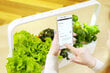 Smart Garden Click & Grow 9 Pro hind ja info | Nutipotid ja taimelambid | hansapost.ee
