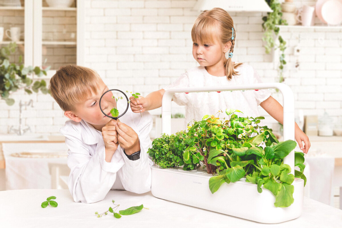 Smart Garden Click & Grow 9 Pro цена и информация | Nutipotid ja taimelambid | hansapost.ee