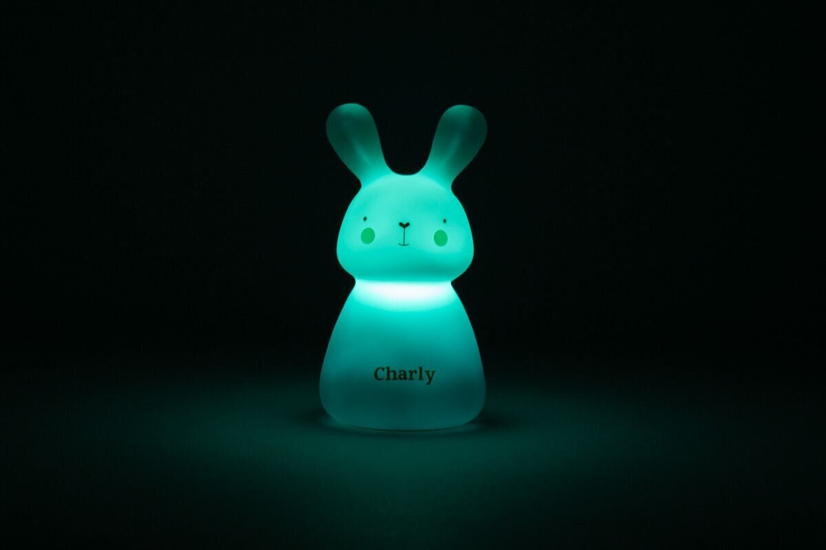 Laste LED lamp Charly Bunny hind ja info | Lastetoa valgustid | hansapost.ee