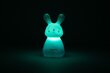 Laste LED lamp Charly Bunny hind ja info | Lastetoa valgustid | hansapost.ee