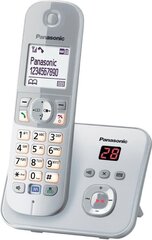 батарейка Panasonic Special Power 4R25 6 V цена и информация | Стационарные телефоны | hansapost.ee