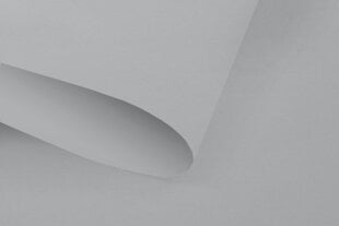 ​Ruloo Klasika Plius, 190x170 cm цена и информация | Рулонные шторы | hansapost.ee