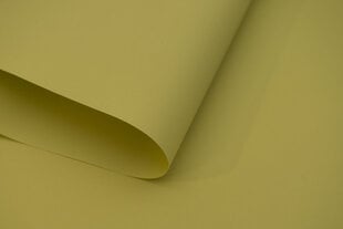 Рулонные шторы Klasika Decor, 220x170 см цена и информация | Рулонные шторы | hansapost.ee