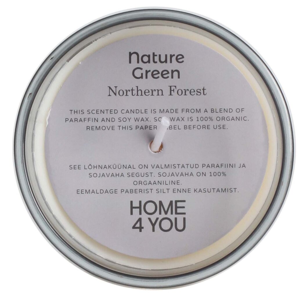 Lõhnaküünal klaasis Nature Green H9,5cm, Northern Forest цена и информация | Küünlad, küünlajalad | hansapost.ee