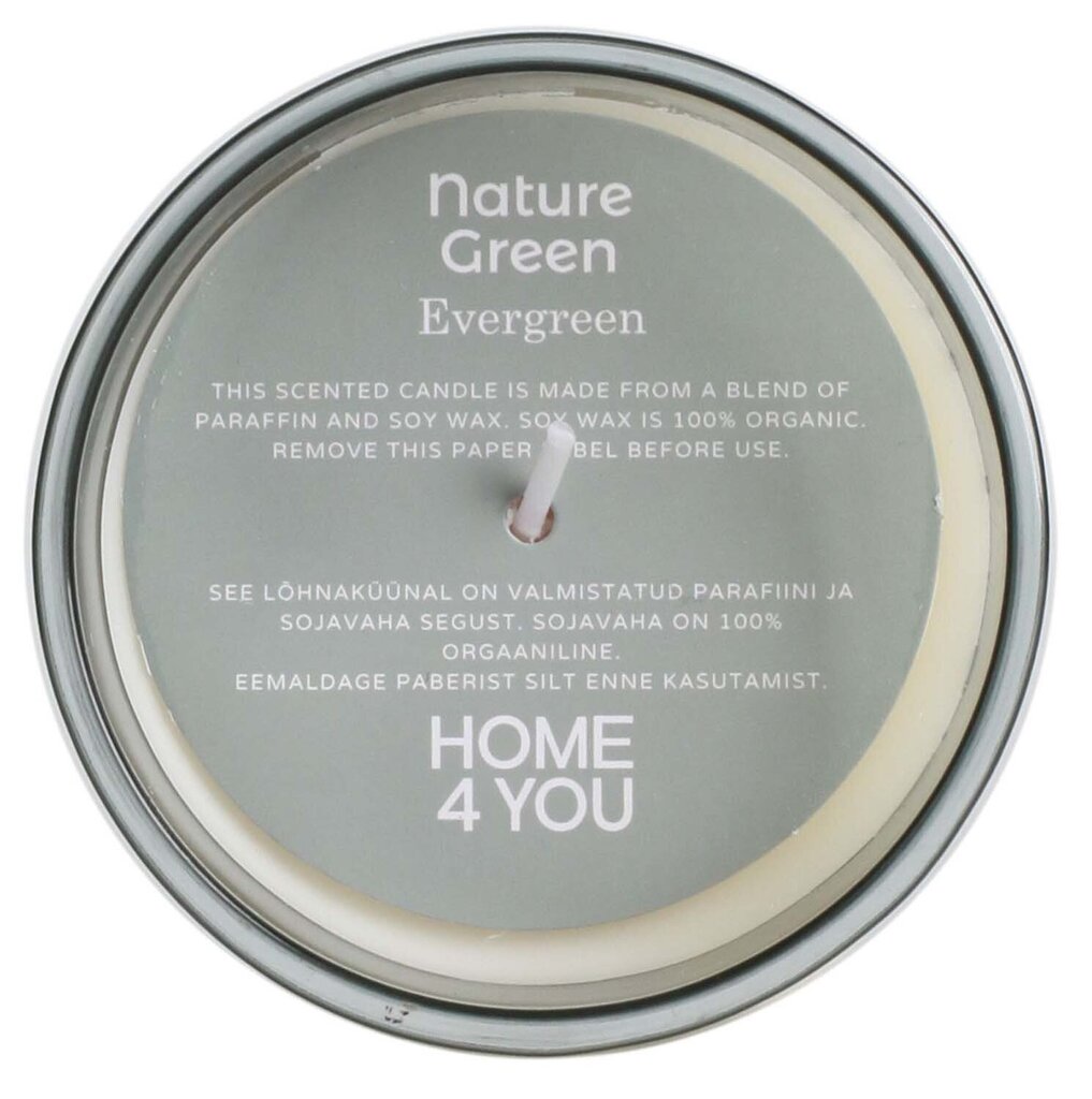 Lõhnaküünal klaasis Nature Green H9,5cm, Evergreen hind ja info | Küünlad, küünlajalad | hansapost.ee