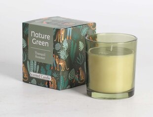 Lõhnaküünal klaasis Nature Green H9,5cm, Tranquil Summer price and information | Candles, candlesticks | hansapost.ee