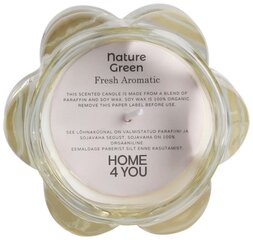 Lõhnaküünal klaasis Nature Green H9,2cm, Fresh Aromatic hind ja info | Küünlad, küünlajalad | hansapost.ee